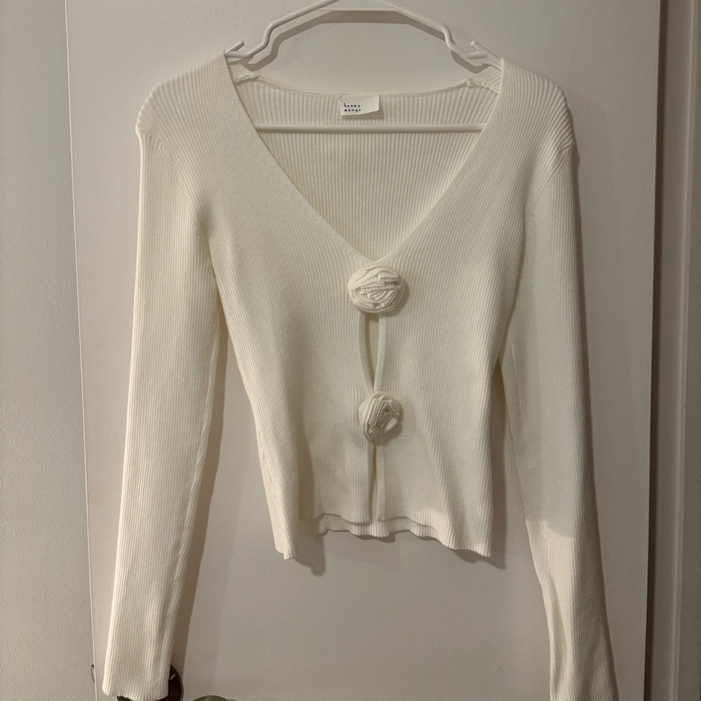Long sleeve rose detailed top